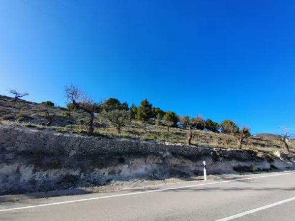 Terreno en Partida Alcoies, 52