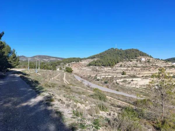 Terreno en Partida Alcoies, 52