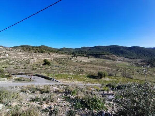 Terreno en Partida Alcoies, 52