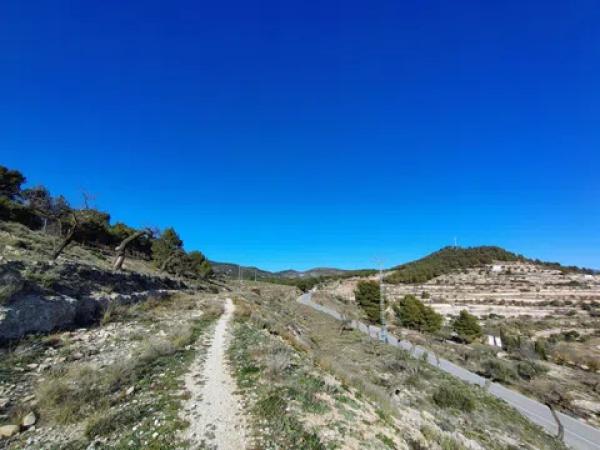 Terreno en Partida Alcoies, 52