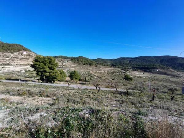 Terreno en Partida Alcoies, 52