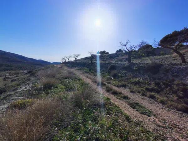 Terreno en Partida Alcoies, 52