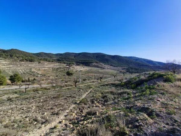 Terreno en Partida Alcoies, 52