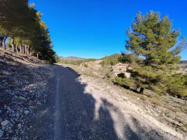 Terreno en Partida Alcoies, 52