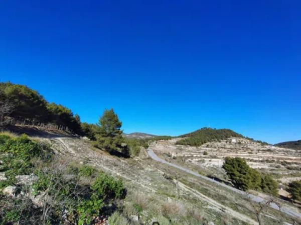 Terreno en Partida Alcoies, 52