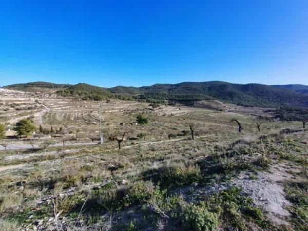 Terreno en Partida Alcoies, 52