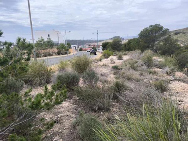 Terreno en calle de Paraguai, 2