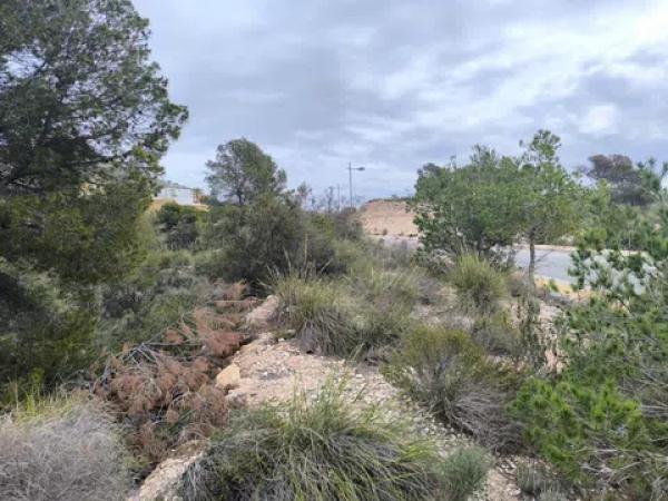 Terreno en calle de Paraguai, 2