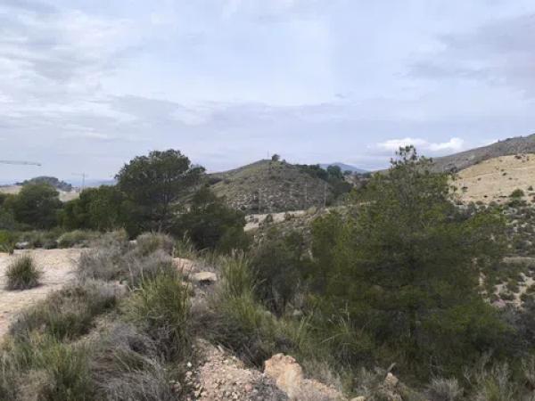 Terreno en calle de Paraguai, 2