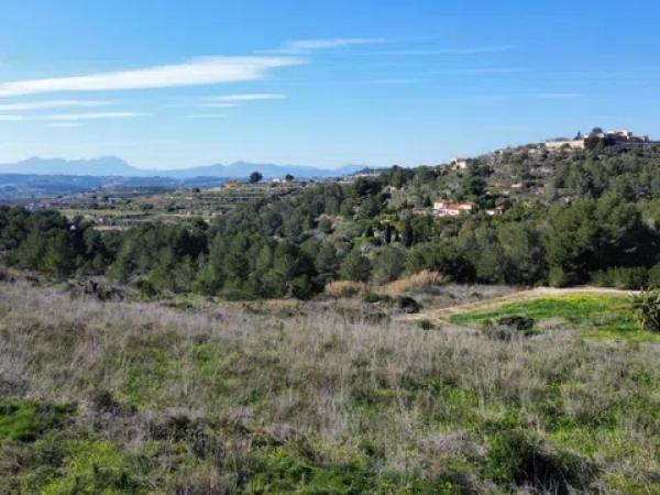 Terreno en camino de la Torra