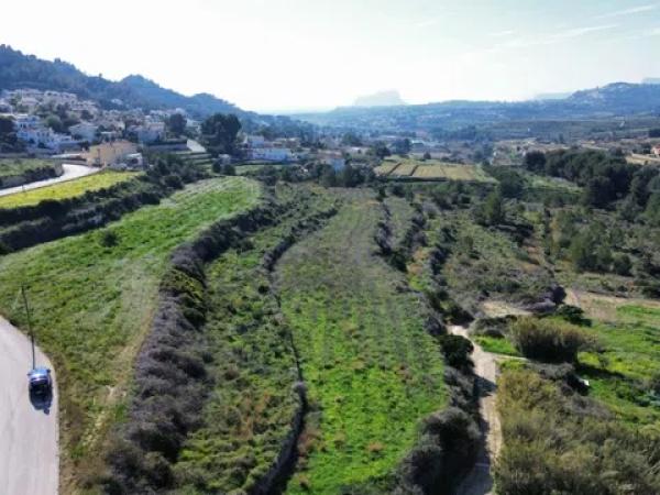Terreno en camino de la Torra