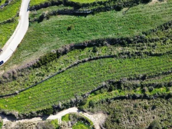 Terreno en camino de la Torra