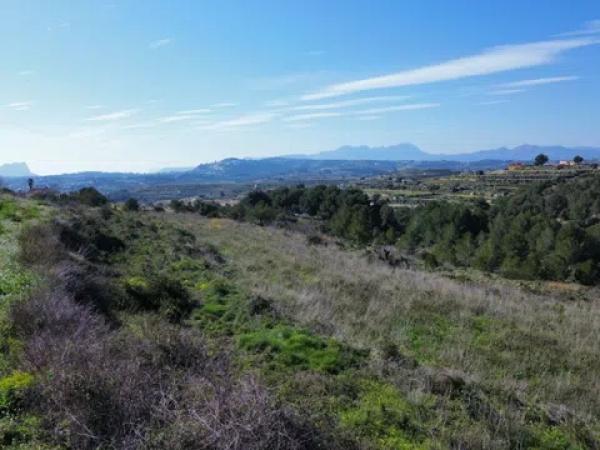 Terreno en camino de la Torra