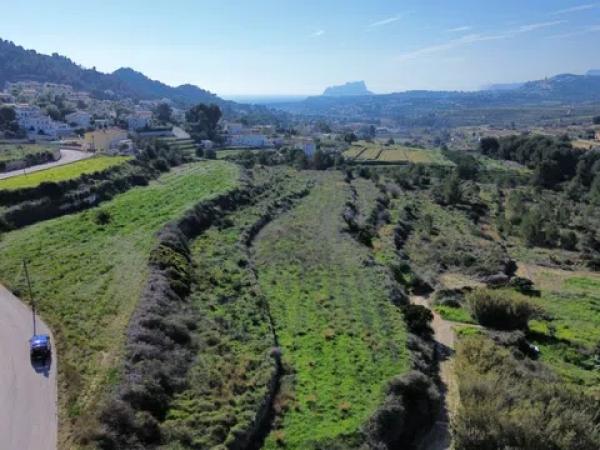 Terreno en camino de la Torra