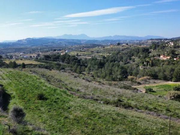 Terreno en camino de la Torra