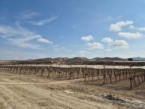 Terreno en partida quincoce, 22