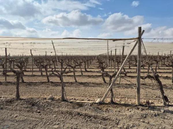 Terreno en partida quincoce, 22
