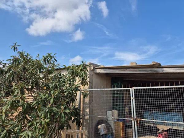 Terreno en partida quincoce, 22