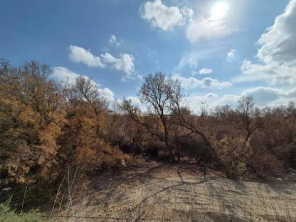 Terreno en partida quincoce, 22