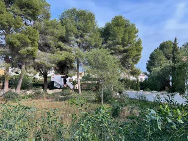 Terreno en Cometa-Carrió