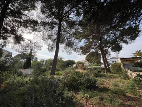 Terreno en Cometa-Carrió