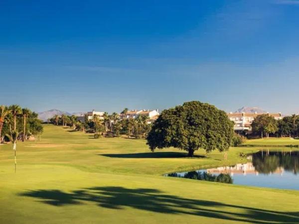 Terreno en avenida Fotógrafo Francisco Cano