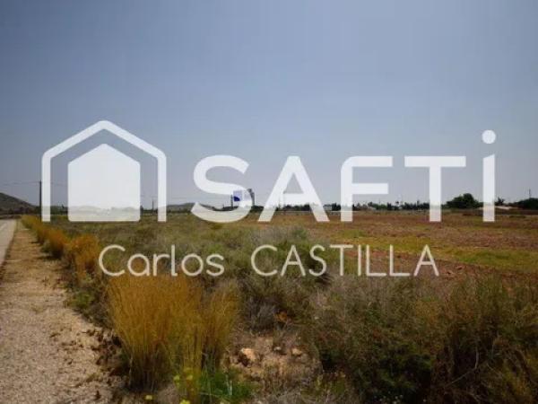 Terreno en avenida Pescados