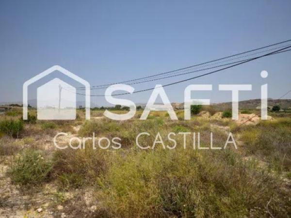 Terreno en avenida Pescados