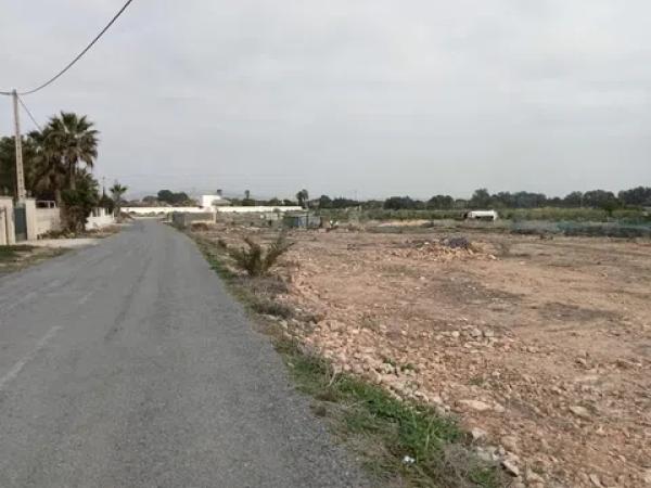 Terreno en camino de Miñana, 4 -d