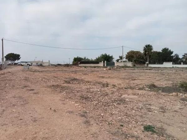 Terreno en camino de Miñana, 4 -d