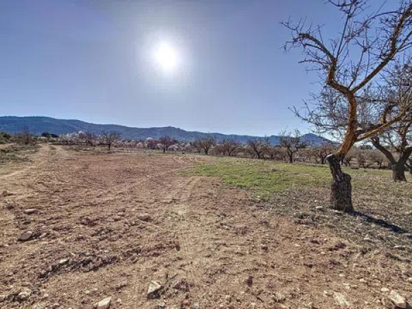 Terreno en Partida Coto
