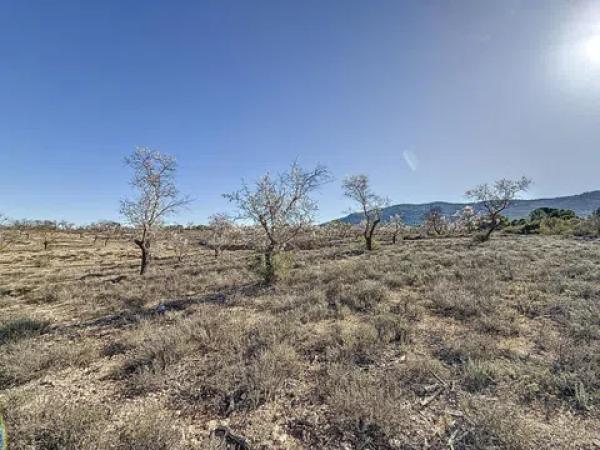 Terreno en Partida Coto