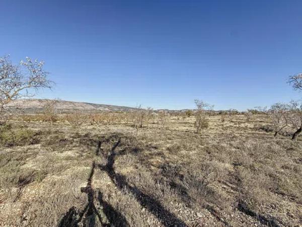 Terreno en Partida Coto