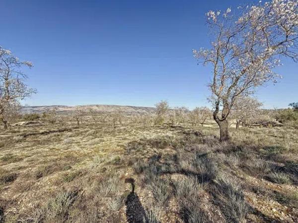 Terreno en Partida Coto