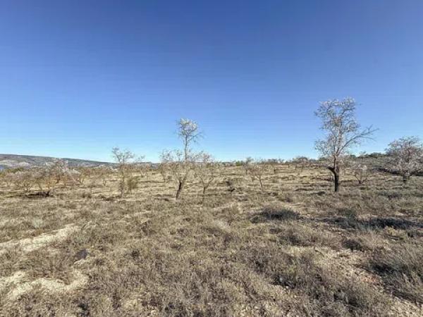 Terreno en Partida Coto