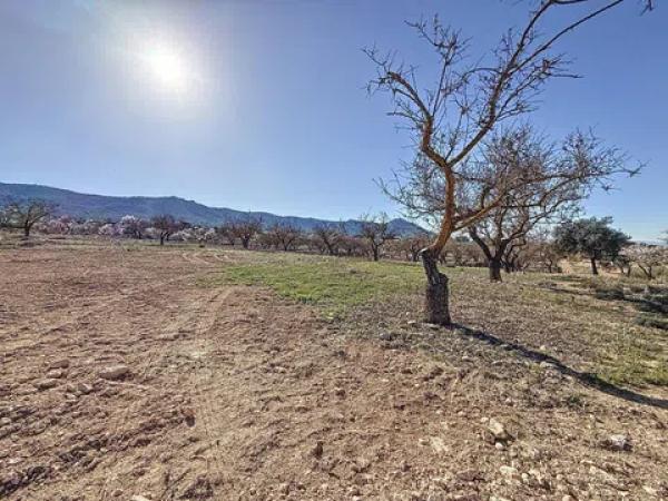 Terreno en Partida Coto