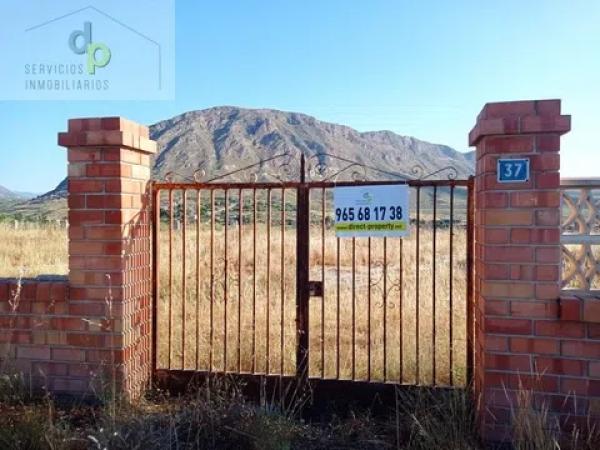 Terreno en calle de la Torre s/n