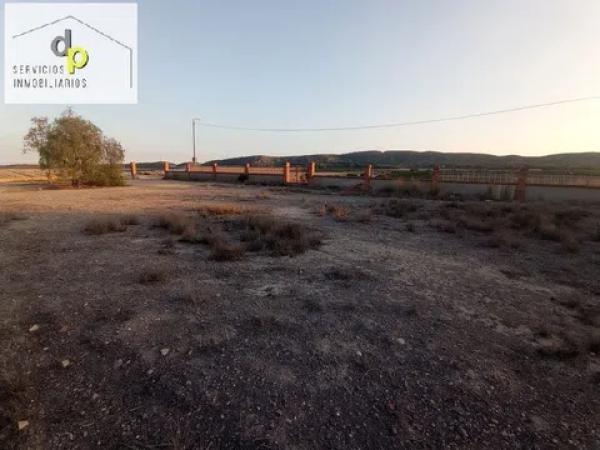 Terreno en calle de la Torre s/n