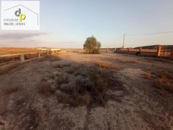 Terreno en calle de la Torre s/n