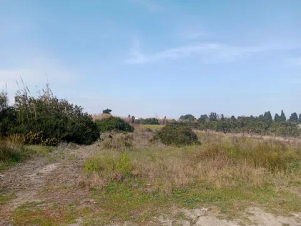 Terreno en Huertas, 2 Polgonoparcela