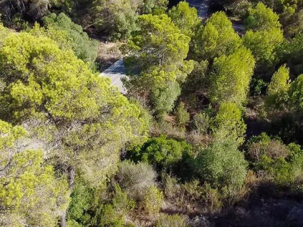 Terreno en La Granadella - Costa Nova