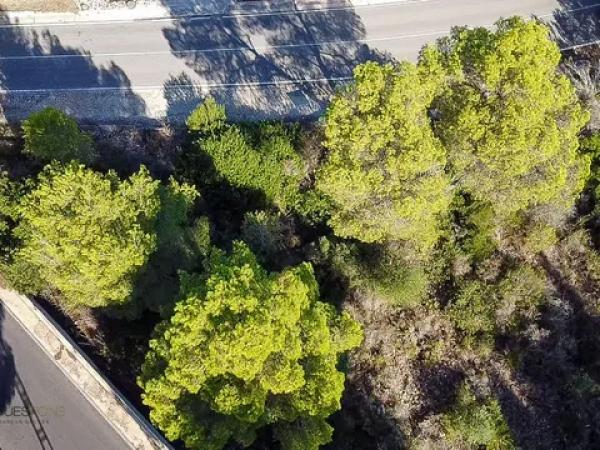 Terreno en La Granadella - Costa Nova