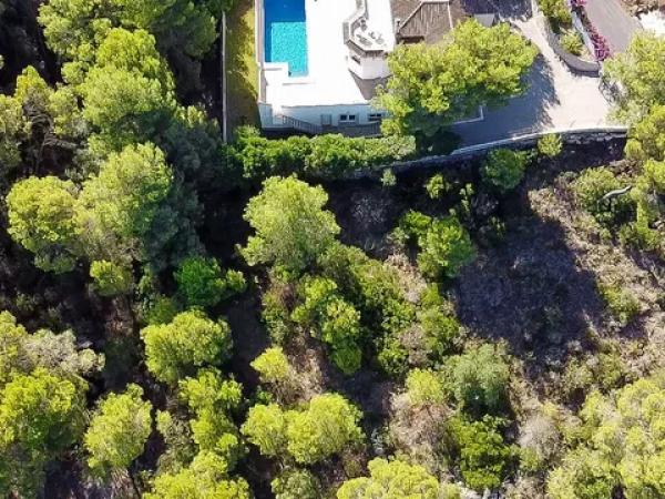 Terreno en La Granadella - Costa Nova