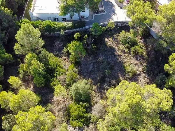 Terreno en La Granadella - Costa Nova