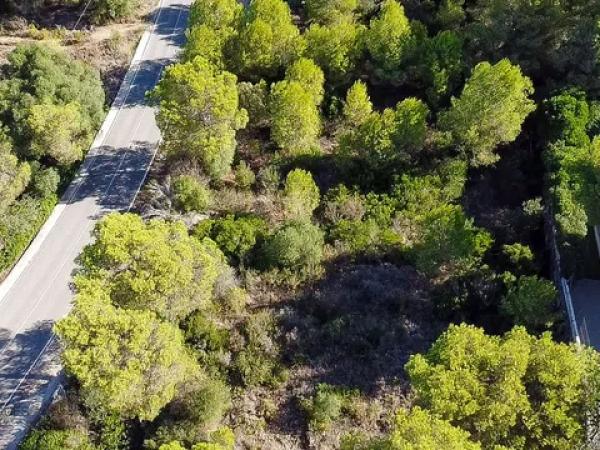 Terreno en La Granadella - Costa Nova