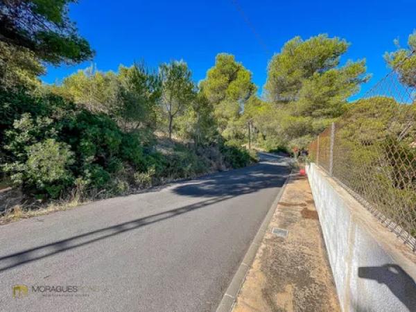 Terreno en La Granadella - Costa Nova