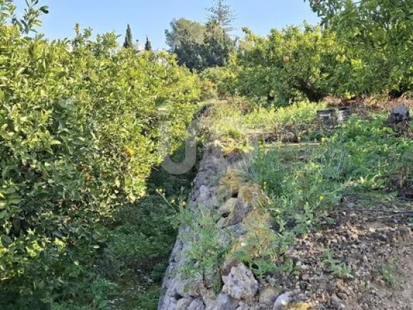 Terreno en Benidoleig