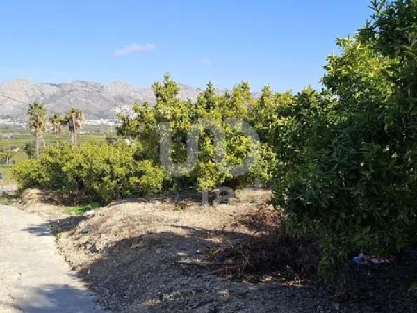 Terreno en Benidoleig