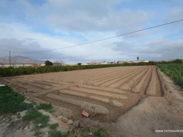 Terreno en Molins-Campaneta-San Bartolomé