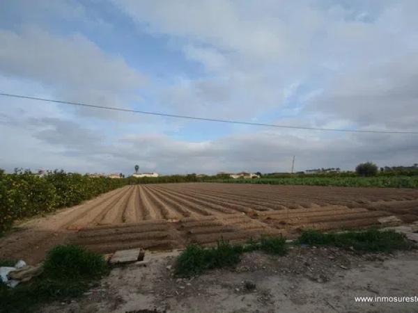 Terreno en Molins-Campaneta-San Bartolomé